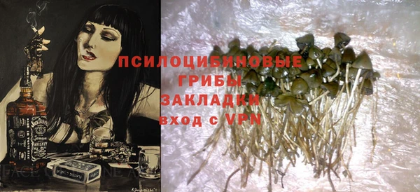 хмурый Киренск