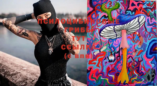 хмурый Киренск