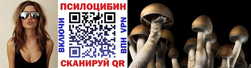 Купить закладки  Малоярославец  Галлюциногенные грибы Psilocybine cubensis 
