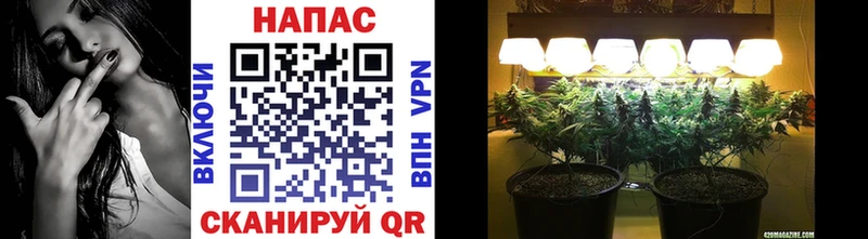 Купить закладки Малоярославец Бошки марихуана ГИДРОПОН